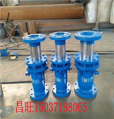 Ϫ2021²|͸ߜֱͲaҎDN1100D